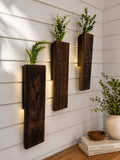 Back Lit Wall Sconces